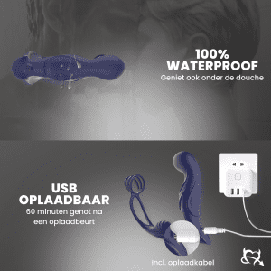 anaal dildo