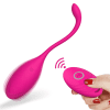 vibrator with remote control